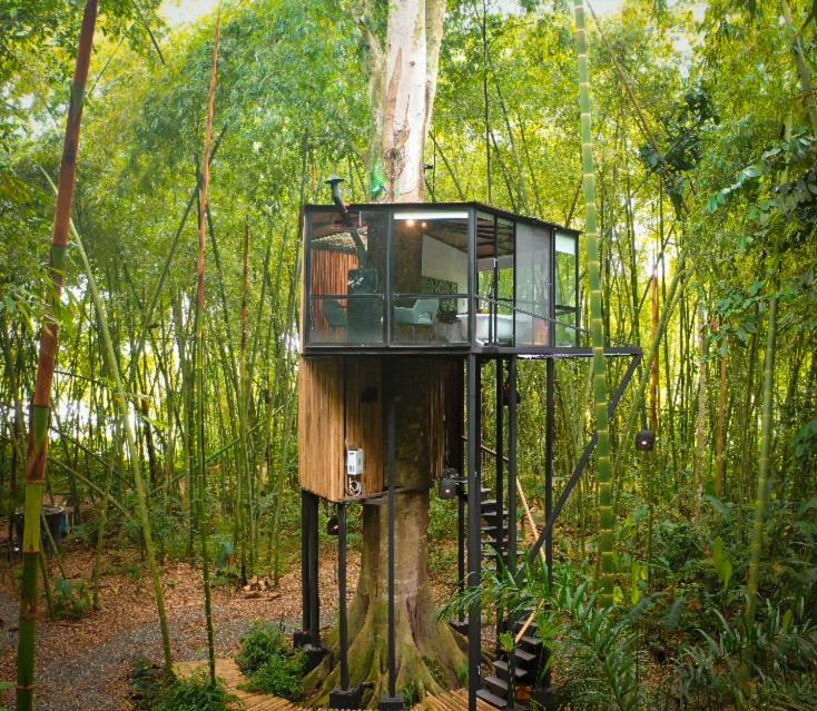 Amanatu Ecolodge & Spa Quimbaya Exterior photo