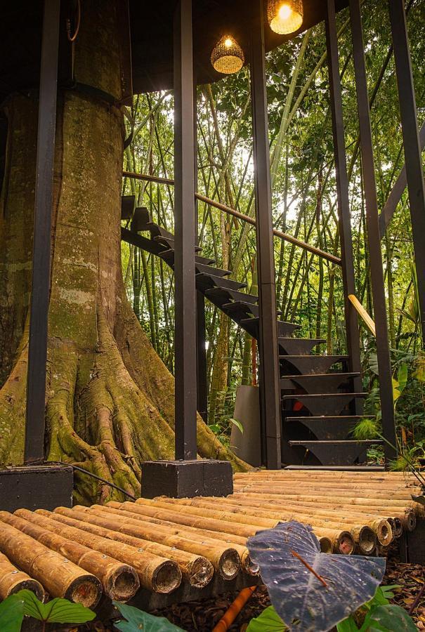Amanatu Ecolodge & Spa Quimbaya Exterior photo